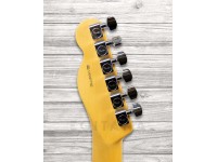 Fender American Professional II Telecaster MN Roasted Pine Fender American Professional II Telecaster MN Roasted Pine